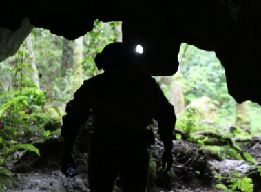 Cueva Laminetako sistema