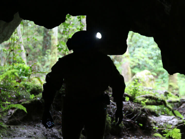 Cueva Laminetako sistema