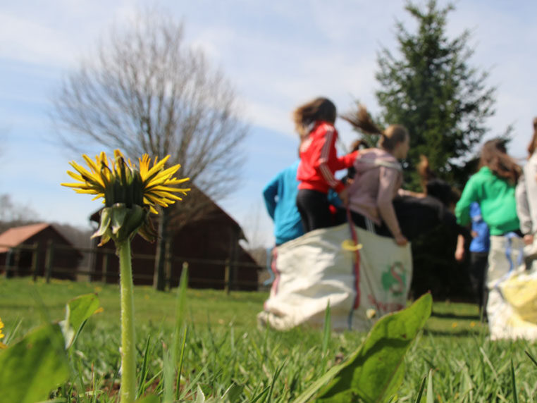 Estancias para escolares en Urbasa