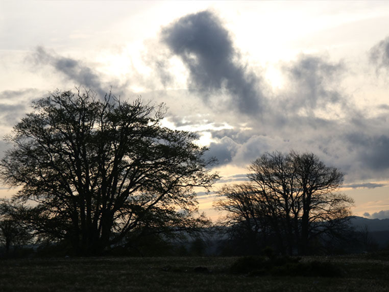 Estancias para escolares en Urbasa