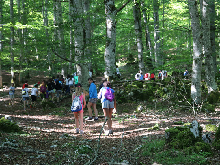 Estancias para escolares en Urbasa