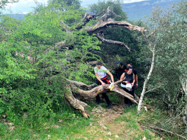 Senderismo y rutas de montaña