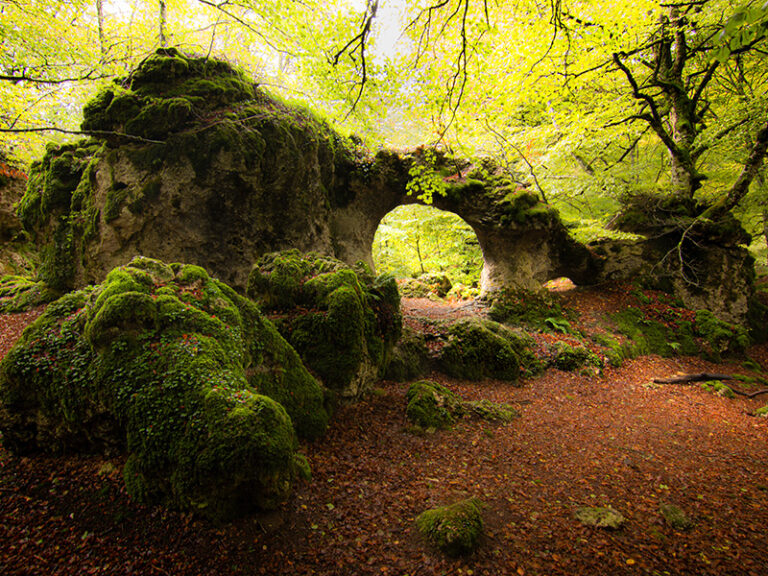 Parque Natural de Entzia