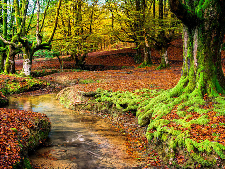 parque-natural-gorbea